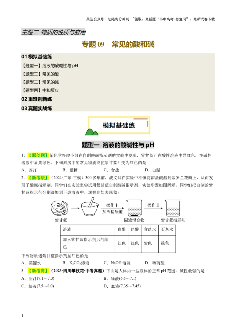 专题09常见的酸和碱（练习）（原卷版）_02中考总复习（2026版更新中）_05-化学-中考总复习_2025年中考复习资料_2025中考化学一轮复习讲义+课件_练习_专题09常见的酸和碱（练习）