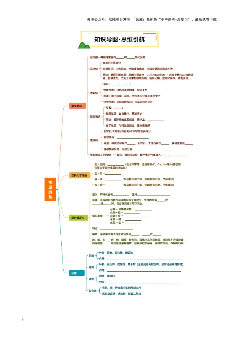 专题10常见的盐（讲义）（原卷版）_02中考总复习（2026版更新中）_05-化学-中考总复习_2025年中考复习资料_2025中考化学一轮复习讲义+课件_讲义_专题10常见的盐（讲义）