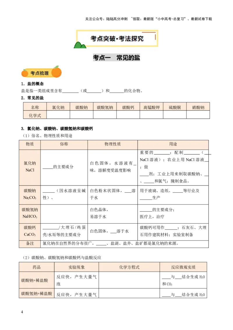 专题10常见的盐（讲义）（原卷版）_02中考总复习（2026版更新中）_05-化学-中考总复习_2025年中考复习资料_2025中考化学一轮复习讲义+课件_讲义_专题10常见的盐（讲义）