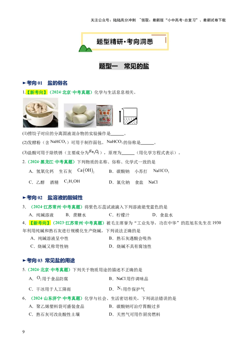 专题10常见的盐（讲义）（原卷版）_02中考总复习（2026版更新中）_05-化学-中考总复习_2025年中考复习资料_2025中考化学一轮复习讲义+课件_讲义_专题10常见的盐（讲义）