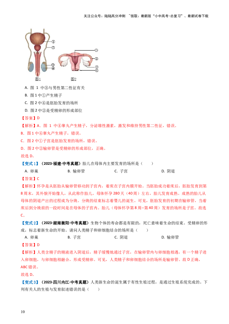 专题09人的由来（讲义）（解析版）_02中考总复习（2026版更新中）_08-生物-中考总复习_2024年中考复习资料_一轮复习_❤2024年中考生物一轮复习讲练测（全国通用）_讲义