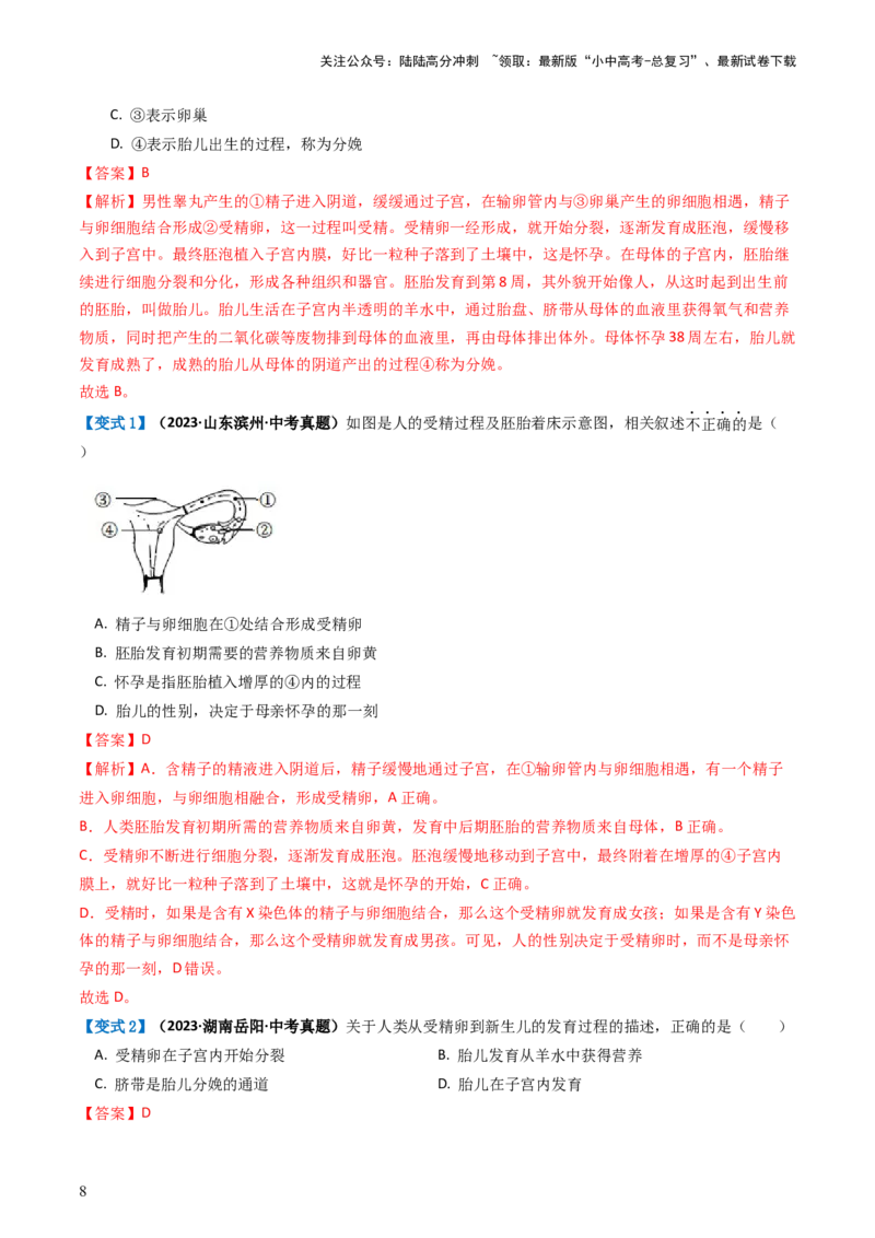 专题09人的由来（讲义）（解析版）_02中考总复习（2026版更新中）_08-生物-中考总复习_2024年中考复习资料_一轮复习_❤2024年中考生物一轮复习讲练测（全国通用）_讲义