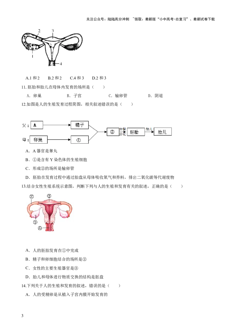 专题09人的由来（练习）（原卷版）_02中考总复习（2026版更新中）_08-生物-中考总复习_2024年中考复习资料_一轮复习_❤2024年中考生物一轮复习讲练测（全国通用）_练习