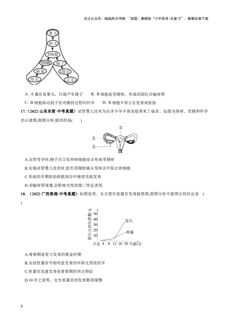专题09人的由来（练习）（原卷版）_02中考总复习（2026版更新中）_08-生物-中考总复习_2024年中考复习资料_一轮复习_❤2024年中考生物一轮复习讲练测（全国通用）_练习