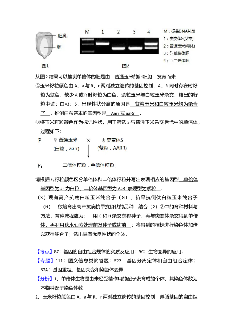 2017年北京市高考生物试卷（解析版）_全国卷+地方卷_6.生物_1.生物高考真题试卷_2008-2020年_地方卷_北京高考生物08-21_A4word版