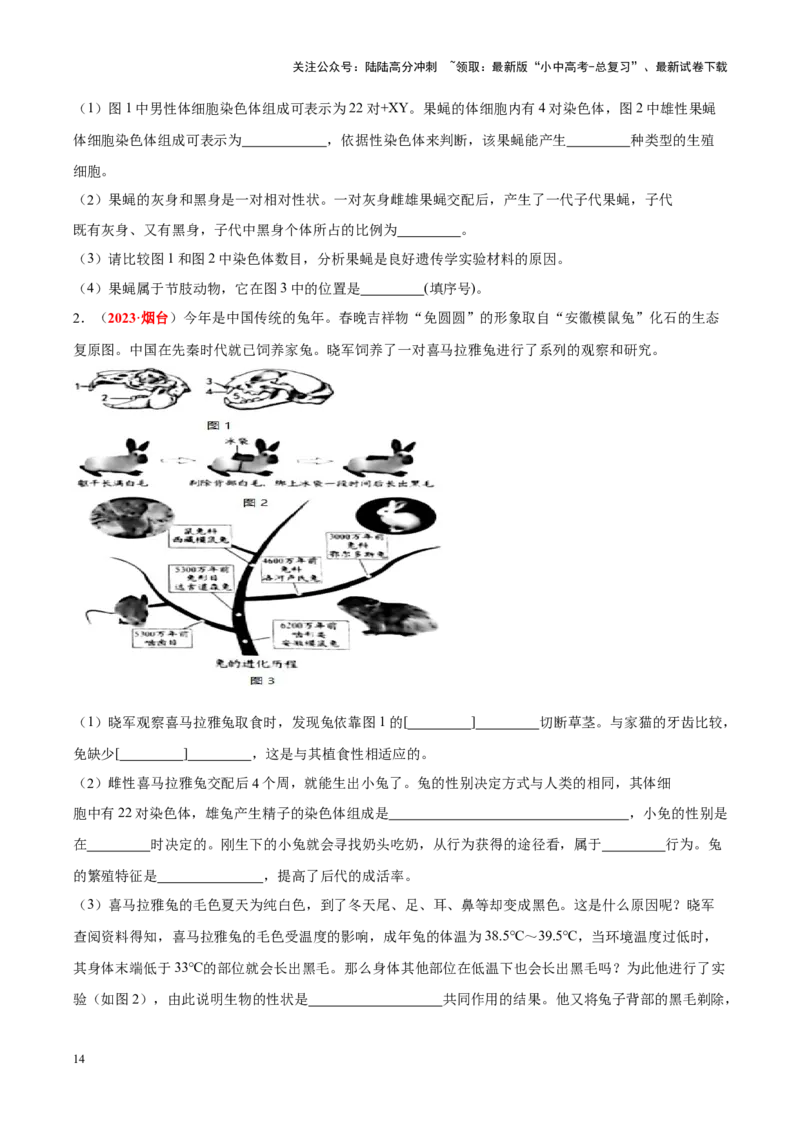 专题11&nbsp;生物的分类、进化和多样性保护（原卷版）_02中考总复习（2026版更新中）_08-生物-中考总复习_2024年中考复习资料_专项复习