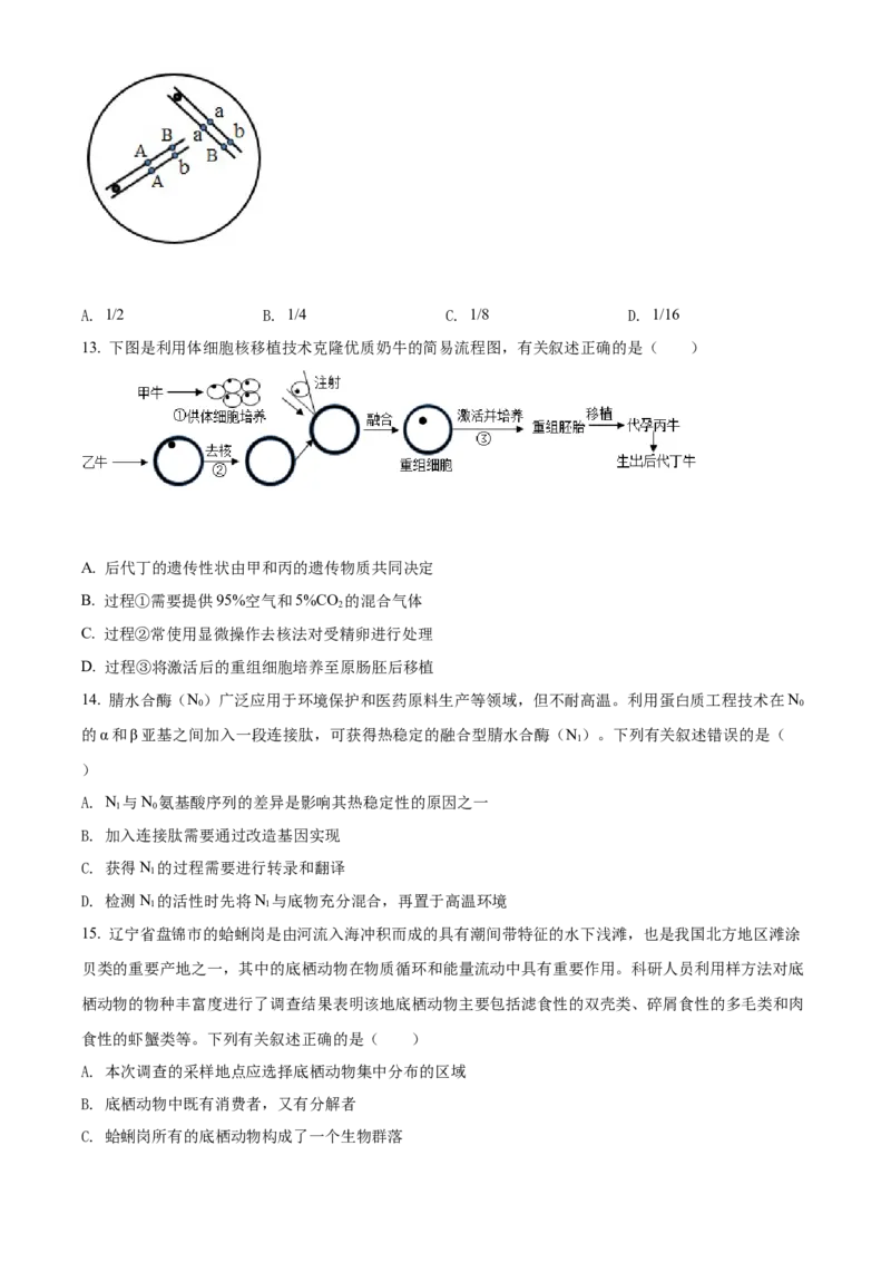 2021年新高考辽宁生物高考真题（原卷版）_全国卷+地方卷_6.生物_1.生物高考真题试卷_2021年高考-生物_2021年辽宁生物