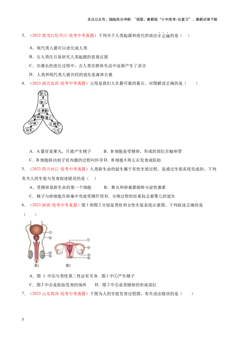 专题09人的由来（原卷版）_02中考总复习（2026版更新中）_08-生物-中考总复习_2024年中考复习资料_一轮复习_❤备战2024年中考生物一轮复习考点帮（全国通用）_练习