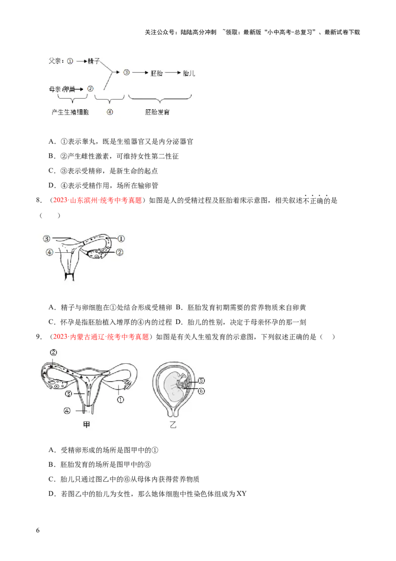 专题09人的由来（原卷版）_02中考总复习（2026版更新中）_08-生物-中考总复习_2024年中考复习资料_一轮复习_❤备战2024年中考生物一轮复习考点帮（全国通用）_练习
