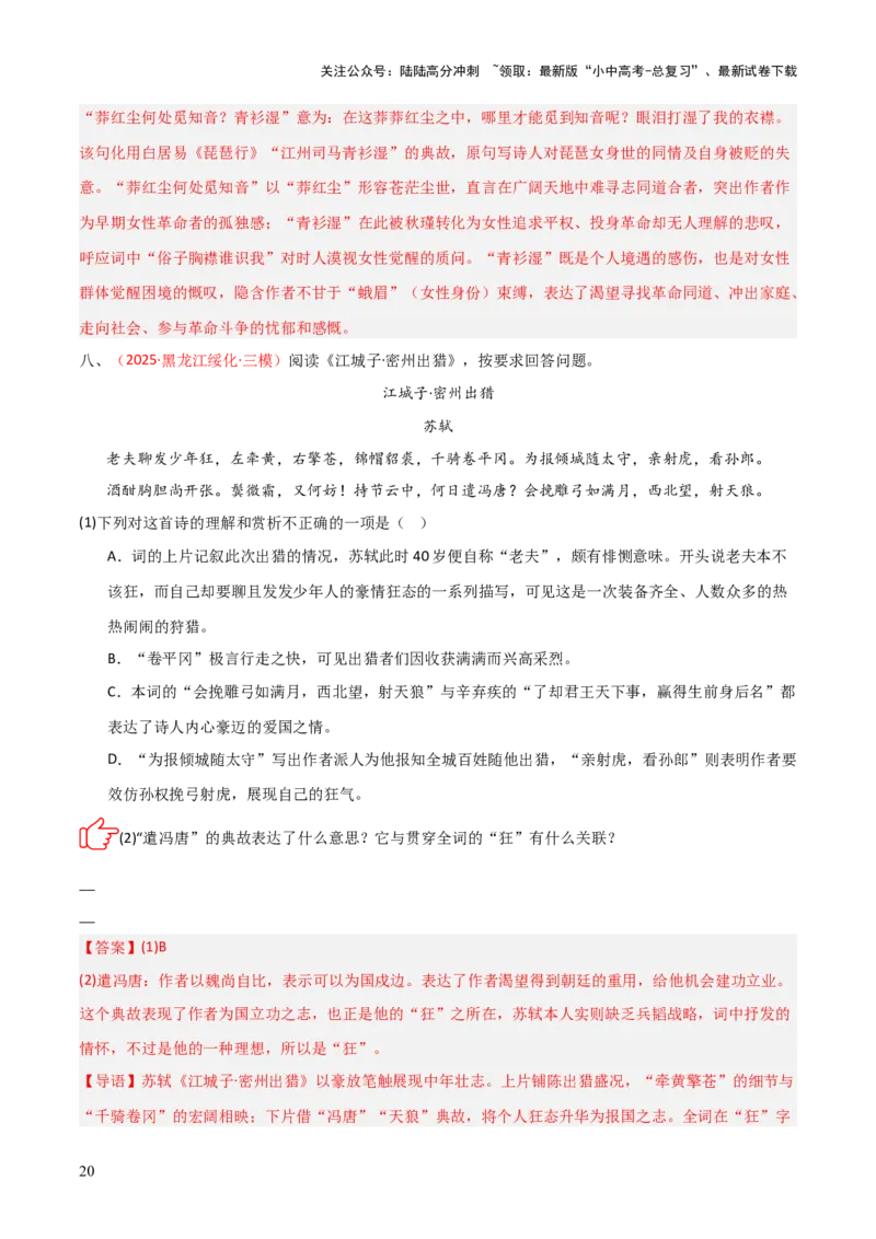 专题09：古诗词鉴赏之典故(练习）解析版_02中考总复习（2026版更新中）_01-语文-中考总复习_2026年中考复习（更新中）_上好课备战2026年中考语文一轮复习之古诗文专题（全国通用）