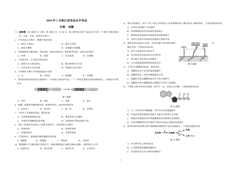 2019年浙江省高考生物1月（原卷版）_全国卷+地方卷_6.生物_1.生物高考真题试卷_2008-2020年_地方卷_浙江高考生物08-21_A3word版_PDF版（赠送）