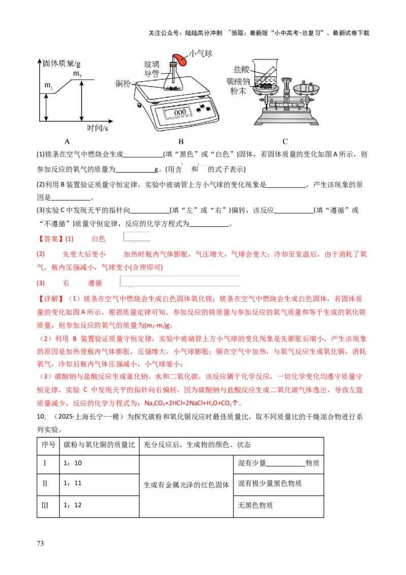 专题11质量守恒定律（解析版）_02中考总复习（2026版更新中）_05-化学-中考总复习_2025年中考复习资料_备战2025年中考化学真题题源解密
