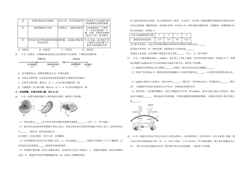 2018年江苏省高考生物试卷_全国卷+地方卷_6.生物_1.生物高考真题试卷_2008-2020年_地方卷_江苏高考生物07-20_A3word版