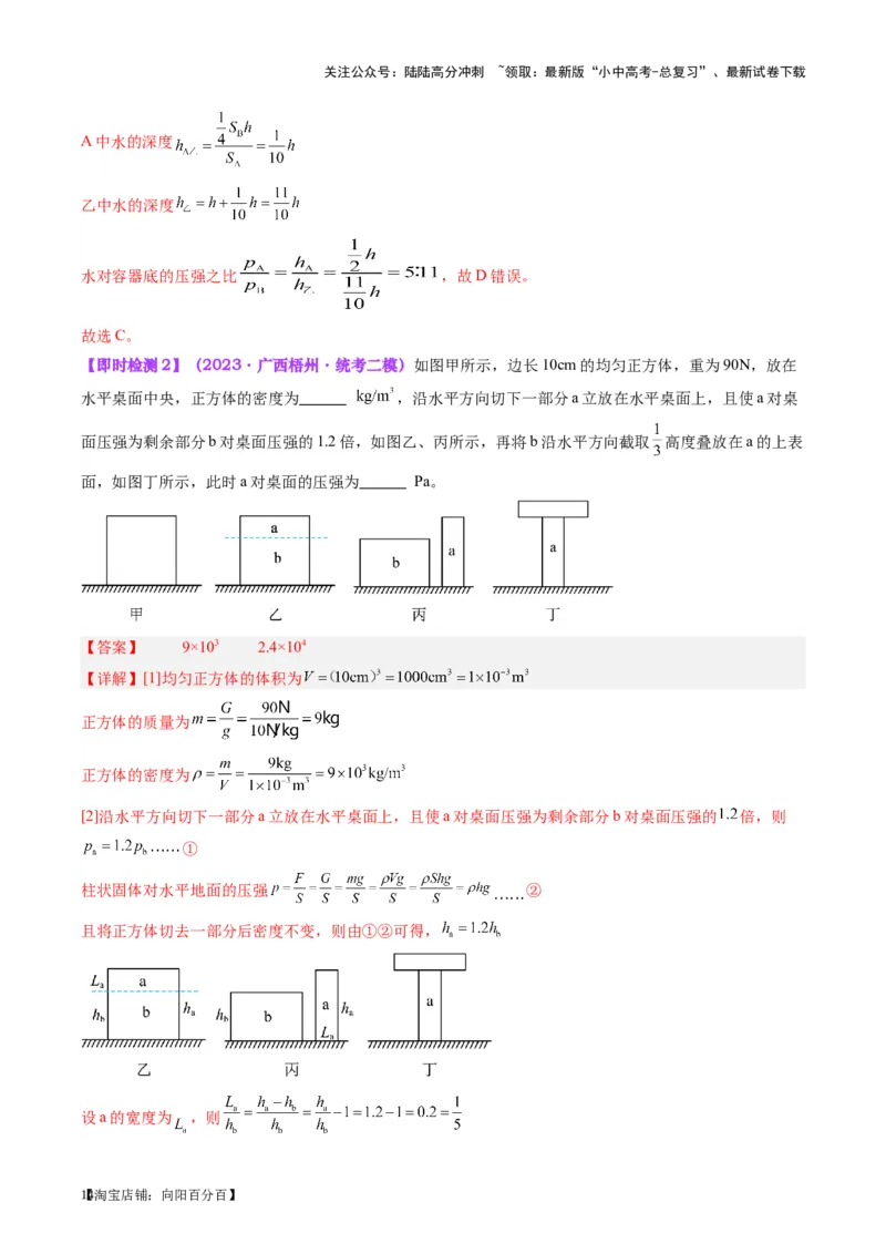 专题10压力与压强（解析版）_02中考总复习（2026版更新中）_04-物理-中考总复习_2024年中考复习资料_一轮复习_完备战2024年中考物理一轮复习考点帮（全国通用）