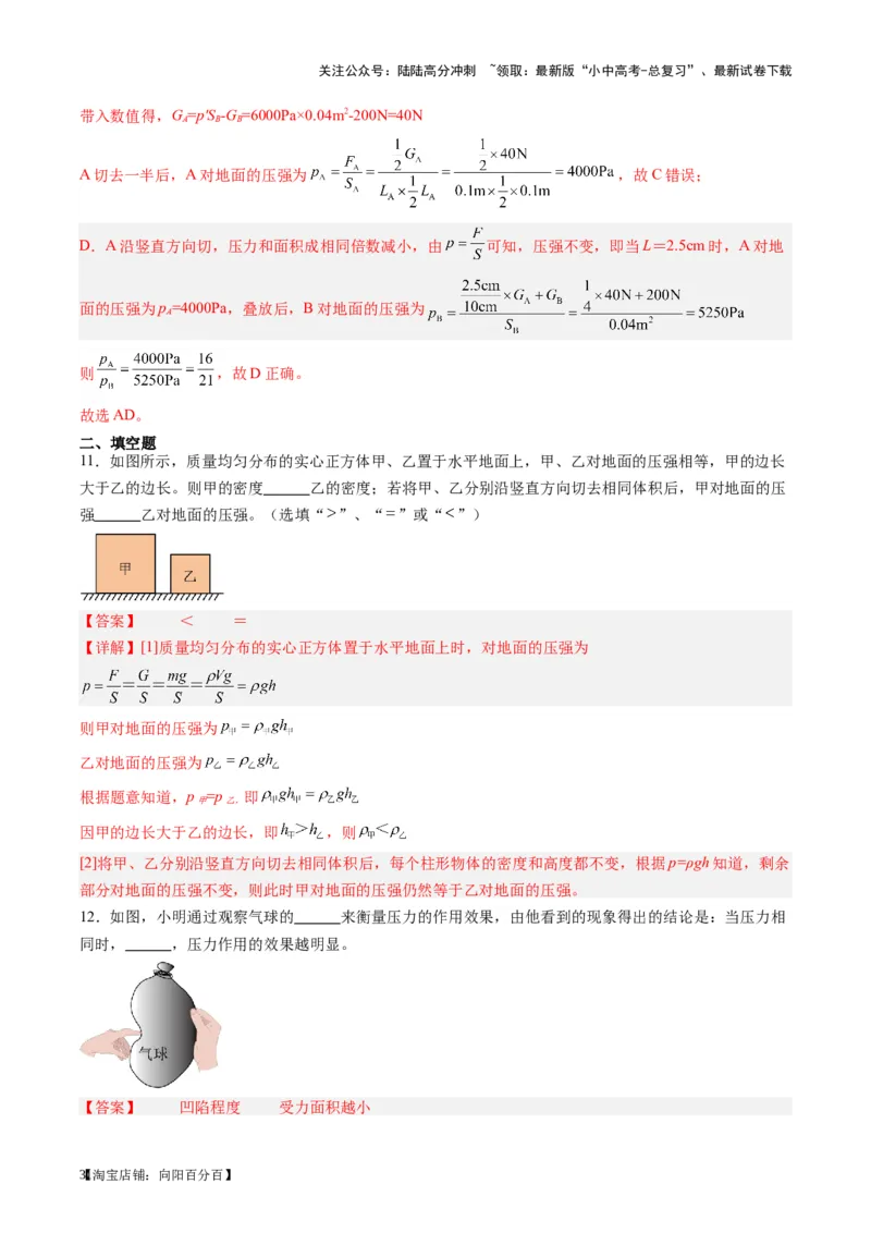 专题10压力与压强（解析版）_02中考总复习（2026版更新中）_04-物理-中考总复习_2024年中考复习资料_一轮复习_完备战2024年中考物理一轮复习考点帮（全国通用）