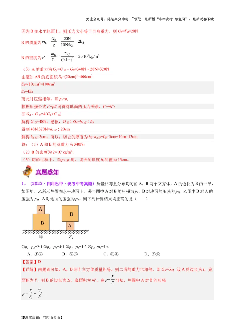 专题10压力与压强（解析版）_02中考总复习（2026版更新中）_04-物理-中考总复习_2024年中考复习资料_一轮复习_完备战2024年中考物理一轮复习考点帮（全国通用）