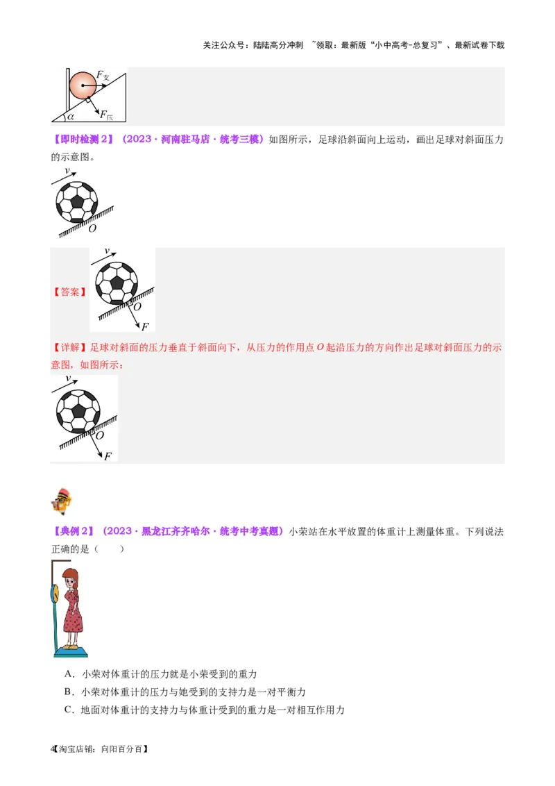 专题10压力与压强（解析版）_02中考总复习（2026版更新中）_04-物理-中考总复习_2024年中考复习资料_一轮复习_完备战2024年中考物理一轮复习考点帮（全国通用）