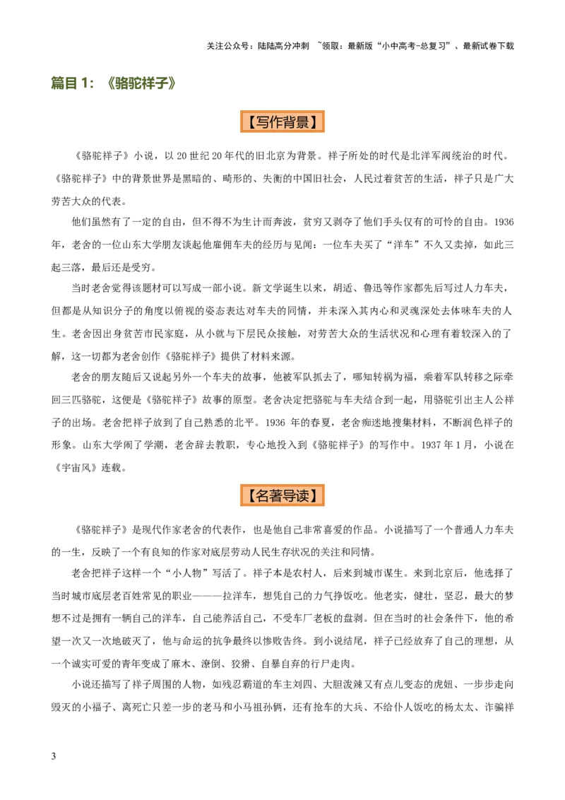 专题11《骆驼祥子》《海底两万里》（8份思维导图+2部名著梳理+5点阅读技巧+5点复习方法）（解析版）_02中考总复习（2026版更新中）_01-语文-中考总复习_2025年中考资料