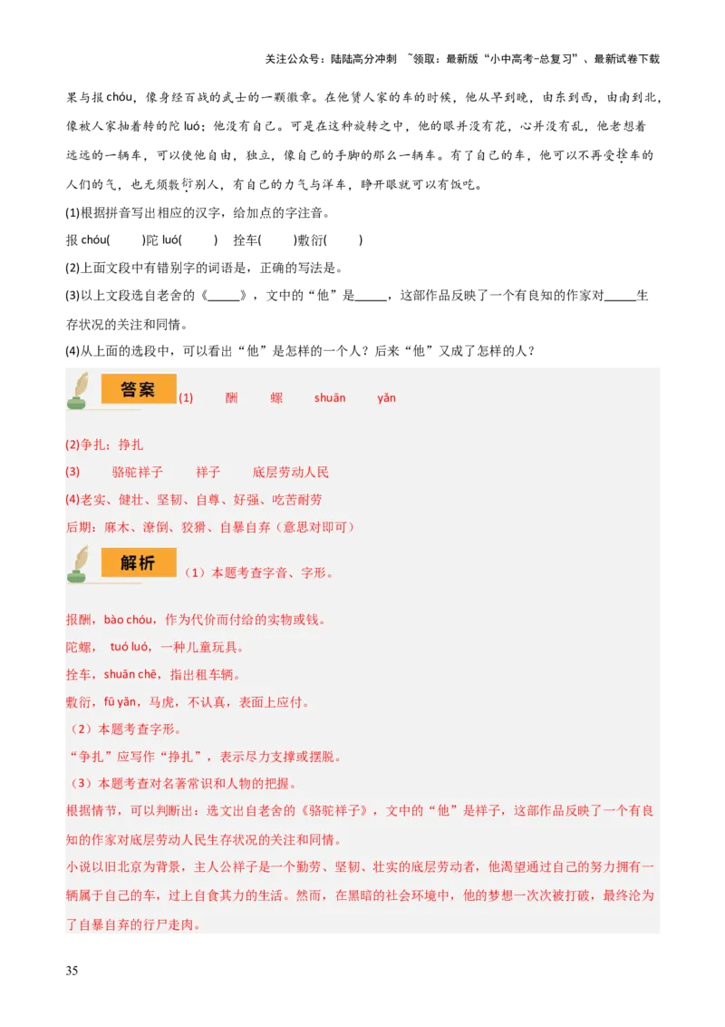 专题11《骆驼祥子》《海底两万里》（8份思维导图+2部名著梳理+5点阅读技巧+5点复习方法）（解析版）_02中考总复习（2026版更新中）_01-语文-中考总复习_2025年中考资料
