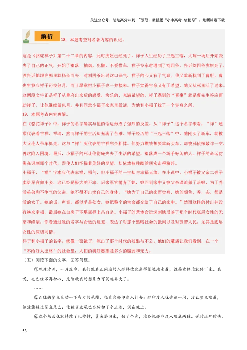 专题11《骆驼祥子》《海底两万里》（8份思维导图+2部名著梳理+5点阅读技巧+5点复习方法）（解析版）_02中考总复习（2026版更新中）_01-语文-中考总复习_2025年中考资料