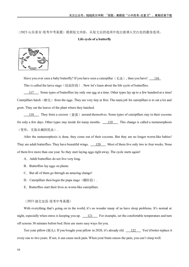 专题12任务型阅读-阅读补全7选56选55选5（原卷版）_02中考总复习（2026版更新中）_03-英语-中考总复习_2024年中考复习资料_专项复习资料