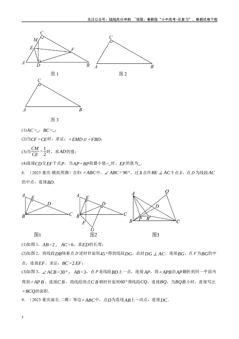 专题10三角形压轴（原卷版）_02中考总复习（2026版更新中）_02-数学-中考总复习_2024年中考复习资料_二轮复习资料_完2024年中考数学二轮复习课件+讲义+练习（全国通用）_练习
