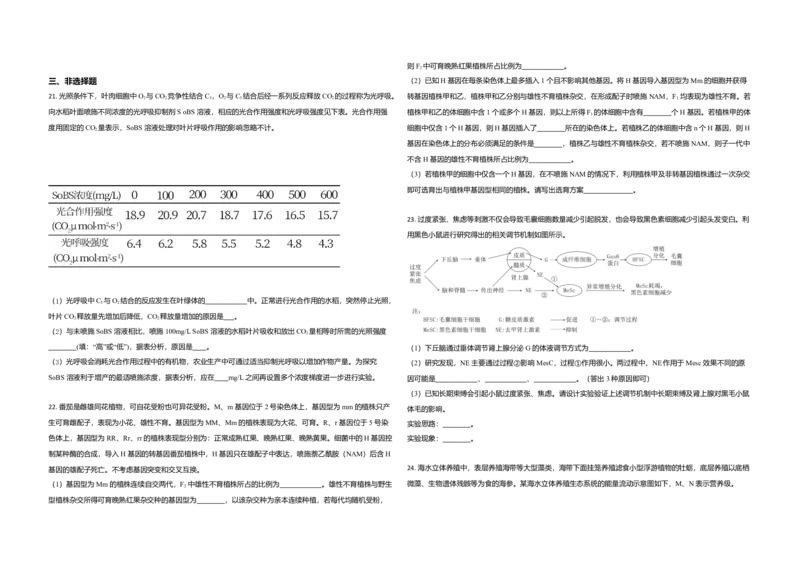 2021年高考真题生物（山东卷）（原卷版）_全国卷+地方卷_6.生物_1.生物高考真题试卷_2008-2020年_地方卷_山东高考生物08-21_山东高考生物_A3版