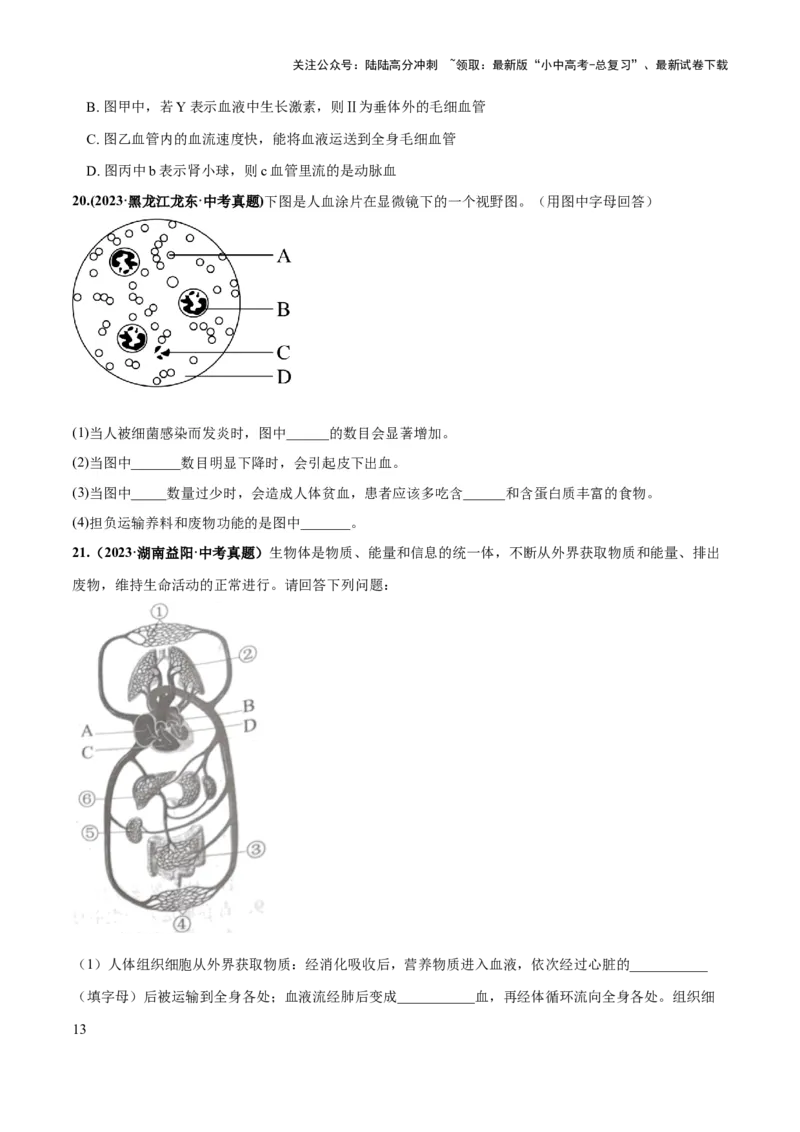 专题12人体内物质的运输（练习）（原卷版）_02中考总复习（2026版更新中）_08-生物-中考总复习_2024年中考复习资料_一轮复习_❤2024年中考生物一轮复习讲练测（全国通用）_练习
