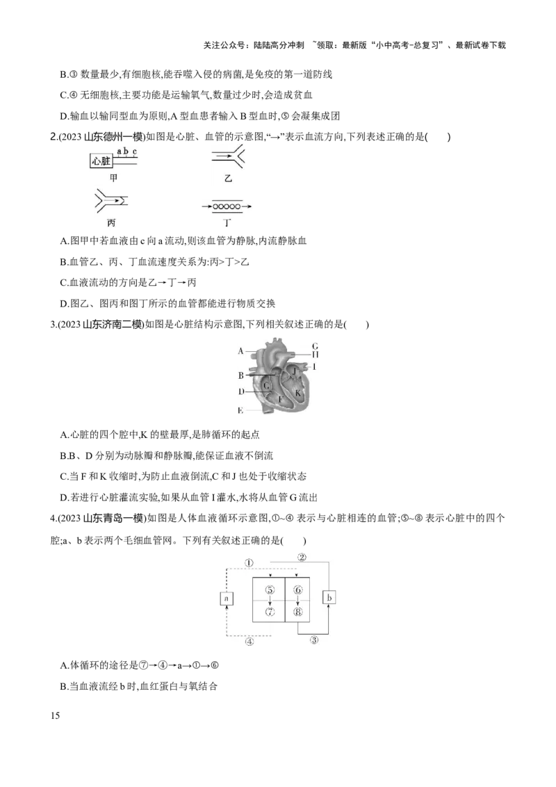 专题12人体内物质的运输（练习）（原卷版）_02中考总复习（2026版更新中）_08-生物-中考总复习_2024年中考复习资料_一轮复习_❤2024年中考生物一轮复习讲练测（全国通用）_练习