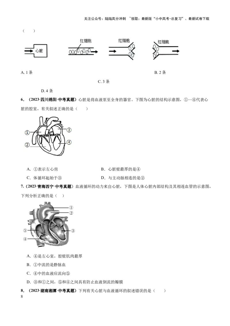 专题12人体内物质的运输（练习）（原卷版）_02中考总复习（2026版更新中）_08-生物-中考总复习_2024年中考复习资料_一轮复习_❤2024年中考生物一轮复习讲练测（全国通用）_练习