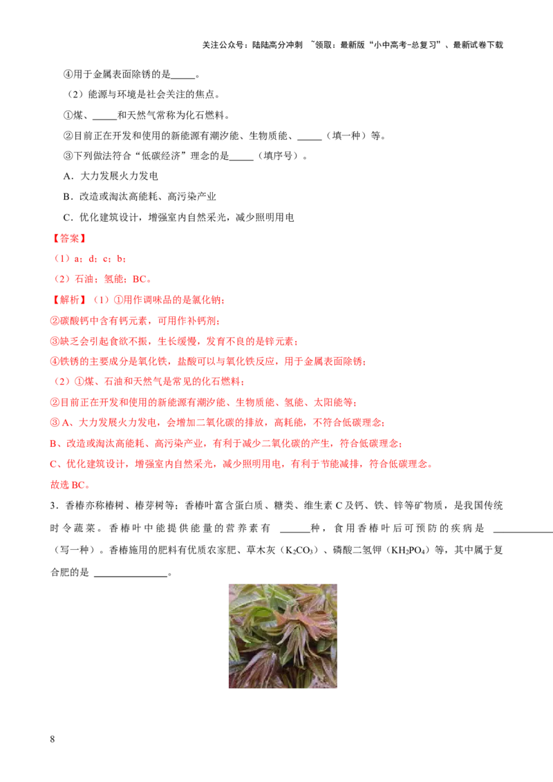 专题12化学与生活（练习）-2024年中考化学一轮复习讲练测（全国通用）（解析版）_02中考总复习（2026版更新中）_05-化学-中考总复习_2024年中考复习资料_一轮复习资料