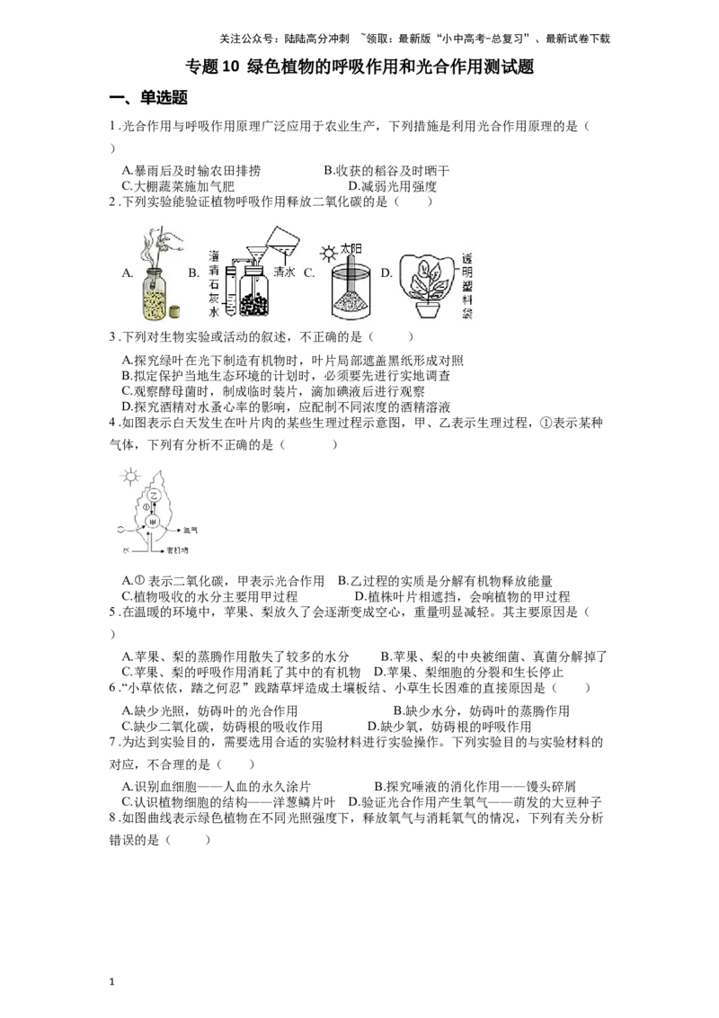 专题10绿色植物的呼吸作用和光合作用（原卷版）_02中考总复习（2026版更新中）_08-生物-中考总复习_2024年中考复习资料_一轮复习_配套练习