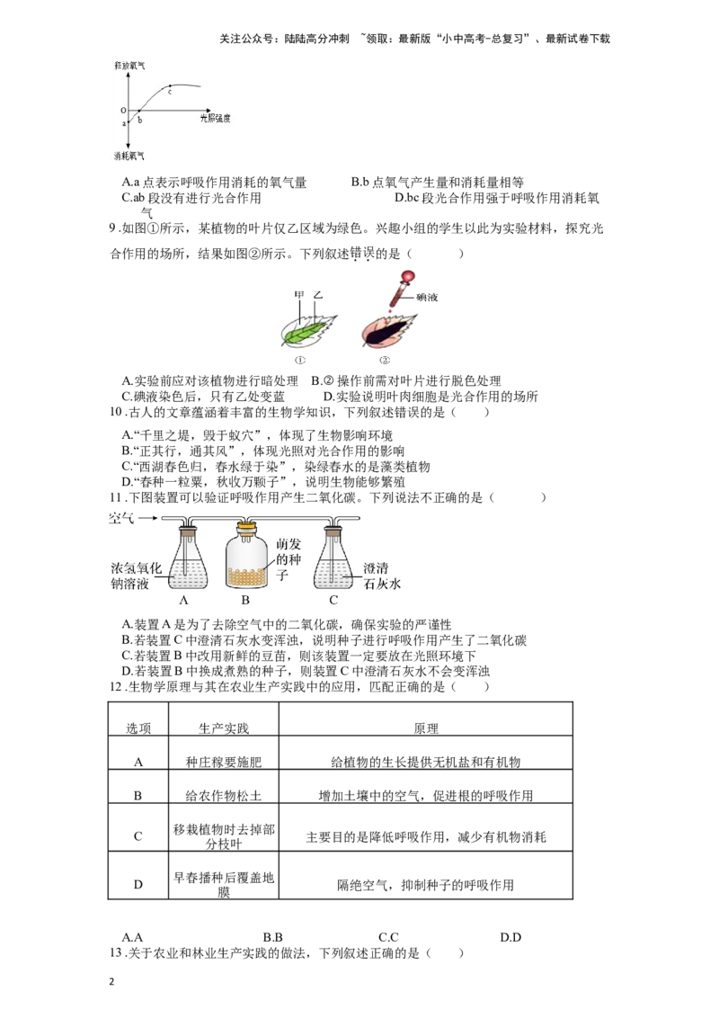 专题10绿色植物的呼吸作用和光合作用（原卷版）_02中考总复习（2026版更新中）_08-生物-中考总复习_2024年中考复习资料_一轮复习_配套练习