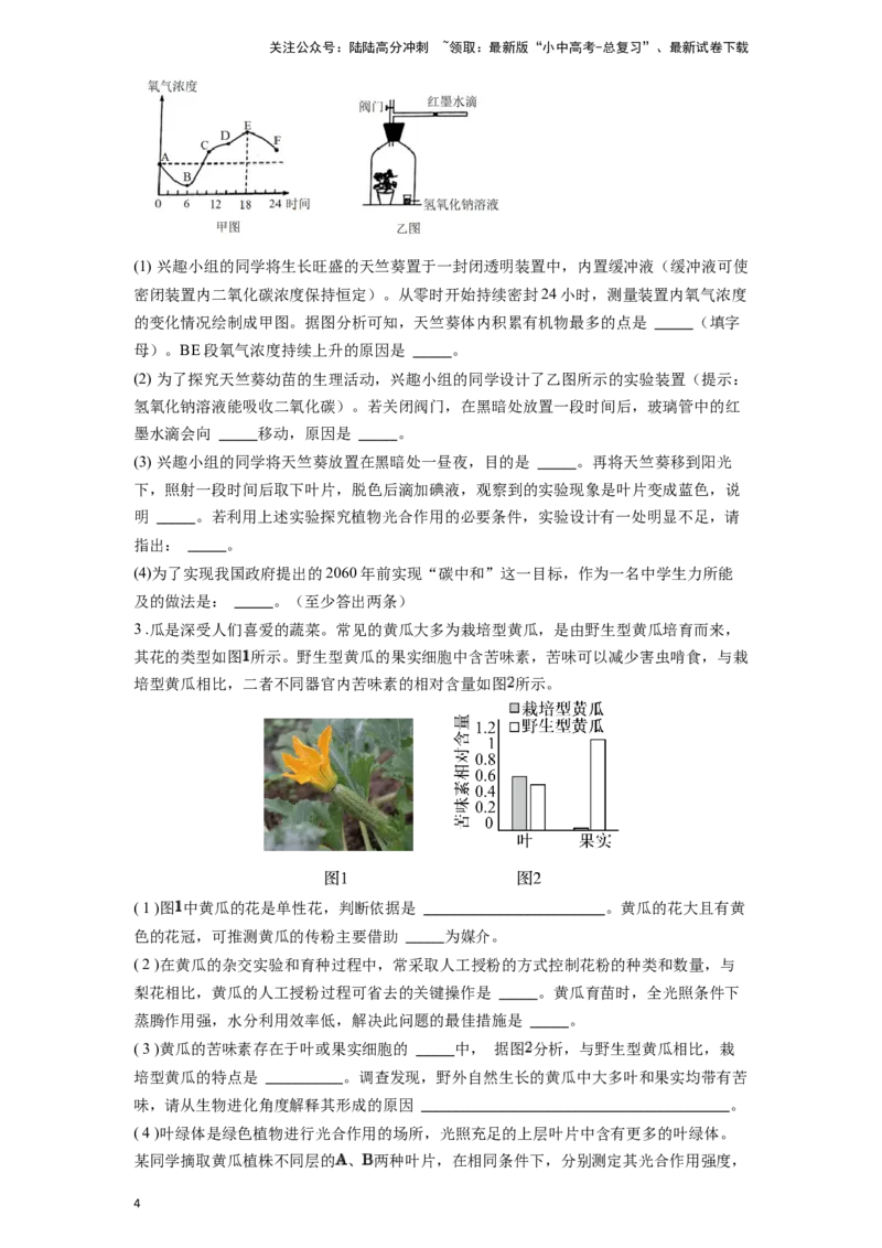 专题10绿色植物的呼吸作用和光合作用（原卷版）_02中考总复习（2026版更新中）_08-生物-中考总复习_2024年中考复习资料_一轮复习_配套练习