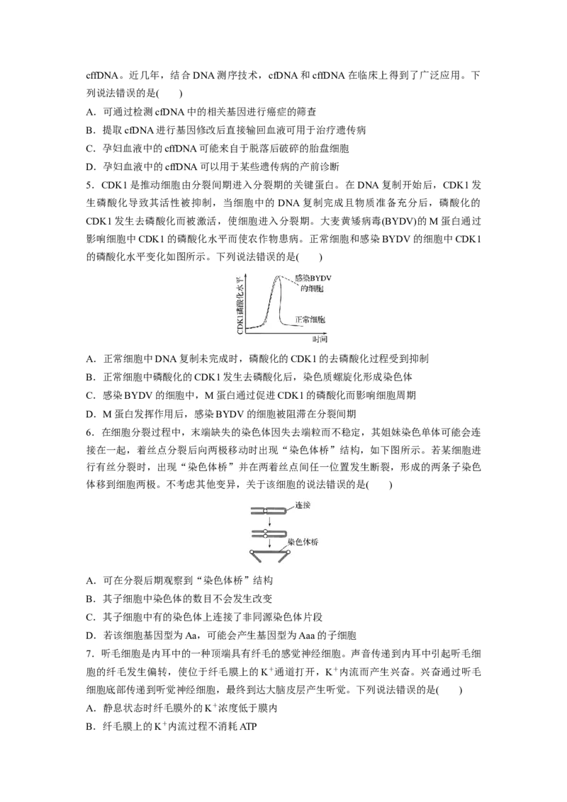 2020年高考真题生物（山东卷）（原卷版）_全国卷+地方卷_6.生物_1.生物高考真题试卷_2008-2020年_地方卷_山东高考生物08-21_山东高考生物_A4版