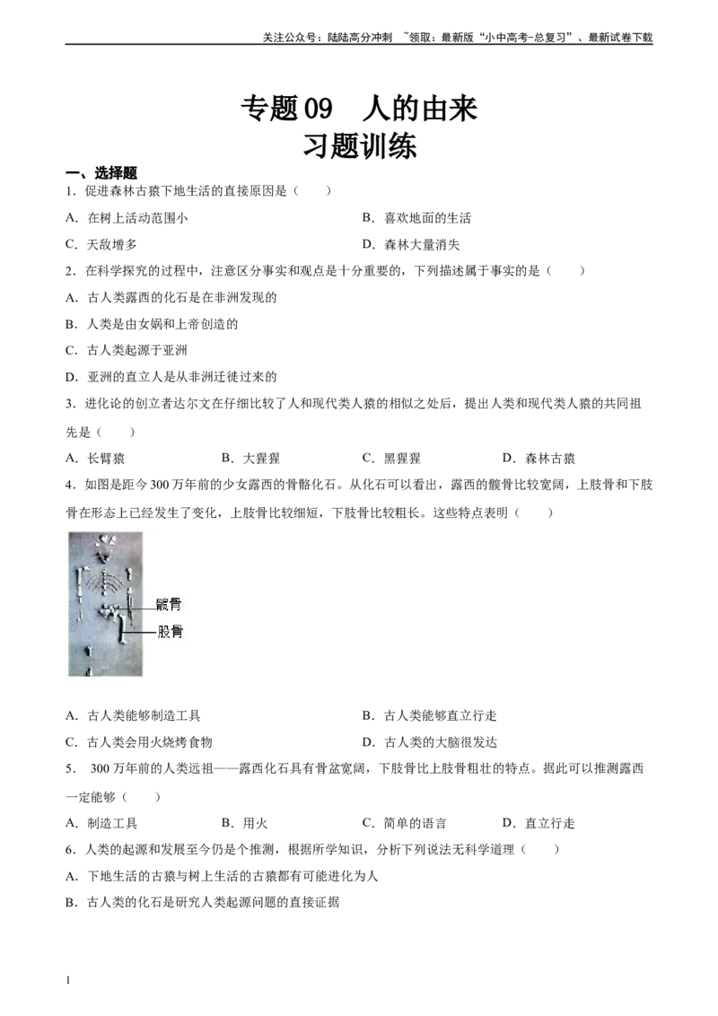 专题09人的由来（习题精练）（全国通用）（原卷版）_02中考总复习（2026版更新中）_08-生物-中考总复习_2024年中考复习资料_一轮复习_配套练习（原卷版+解析版）