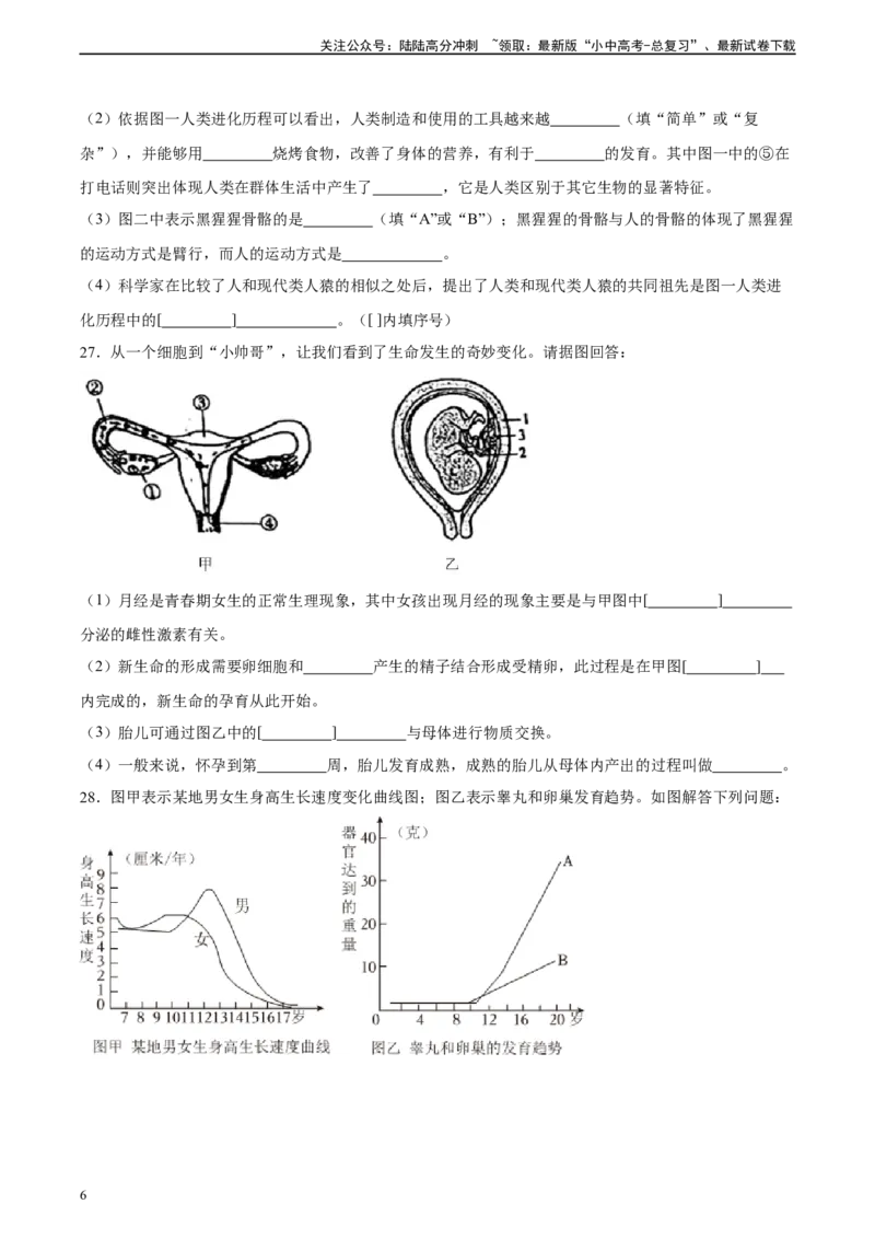 专题09人的由来（习题精练）（全国通用）（原卷版）_02中考总复习（2026版更新中）_08-生物-中考总复习_2024年中考复习资料_一轮复习_配套练习（原卷版+解析版）