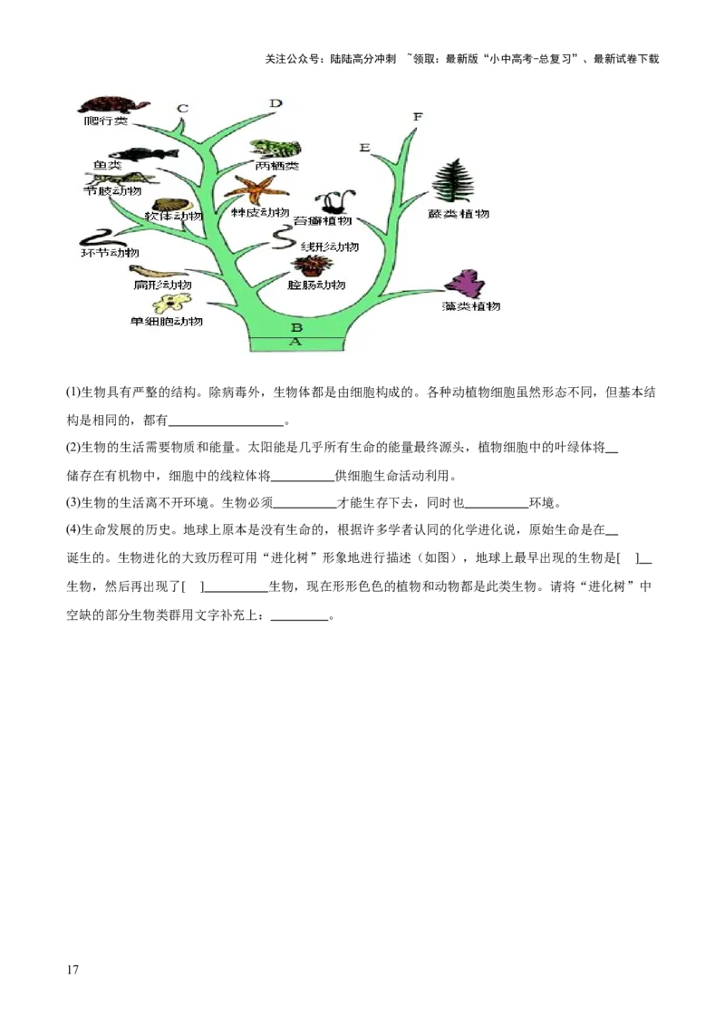 专题10生物进化与生物多样性的保护（全国通用）（原卷版）_02中考总复习（2026版更新中）_08-生物-中考总复习_2026年中考复习（更新中）