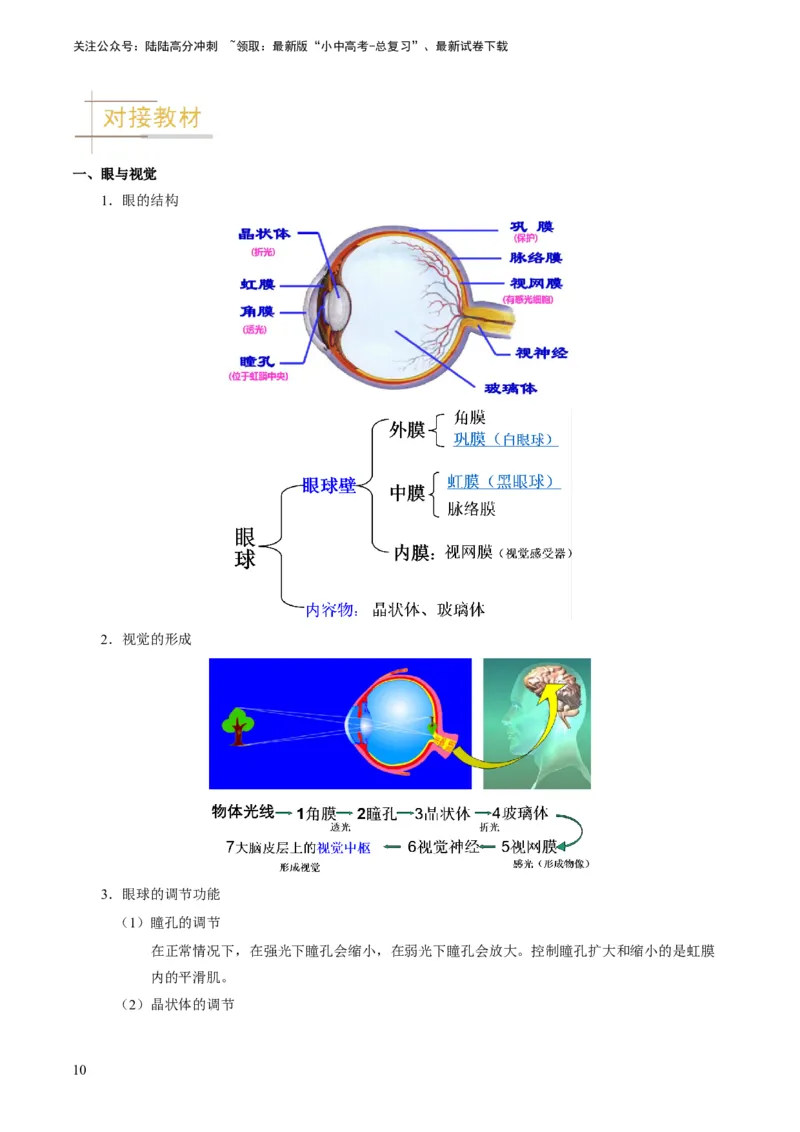 专题11人体生命活动的调节（原卷版）_02中考总复习（2026版更新中）_08-生物-中考总复习_2024年中考复习资料_专项复习_备战2024年中考生物真题题源解密