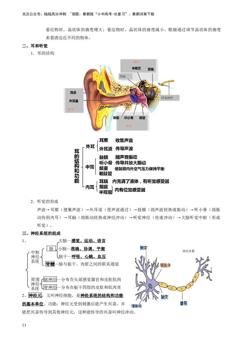 专题11人体生命活动的调节（原卷版）_02中考总复习（2026版更新中）_08-生物-中考总复习_2024年中考复习资料_专项复习_备战2024年中考生物真题题源解密