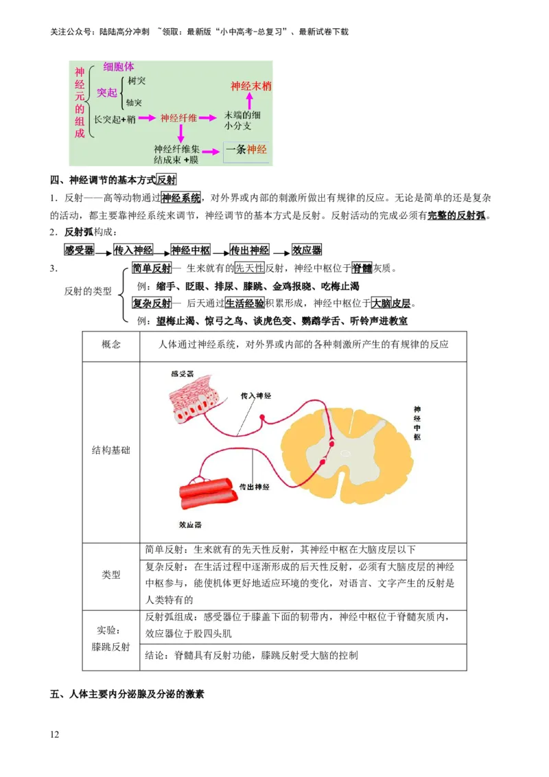 专题11人体生命活动的调节（原卷版）_02中考总复习（2026版更新中）_08-生物-中考总复习_2024年中考复习资料_专项复习_备战2024年中考生物真题题源解密