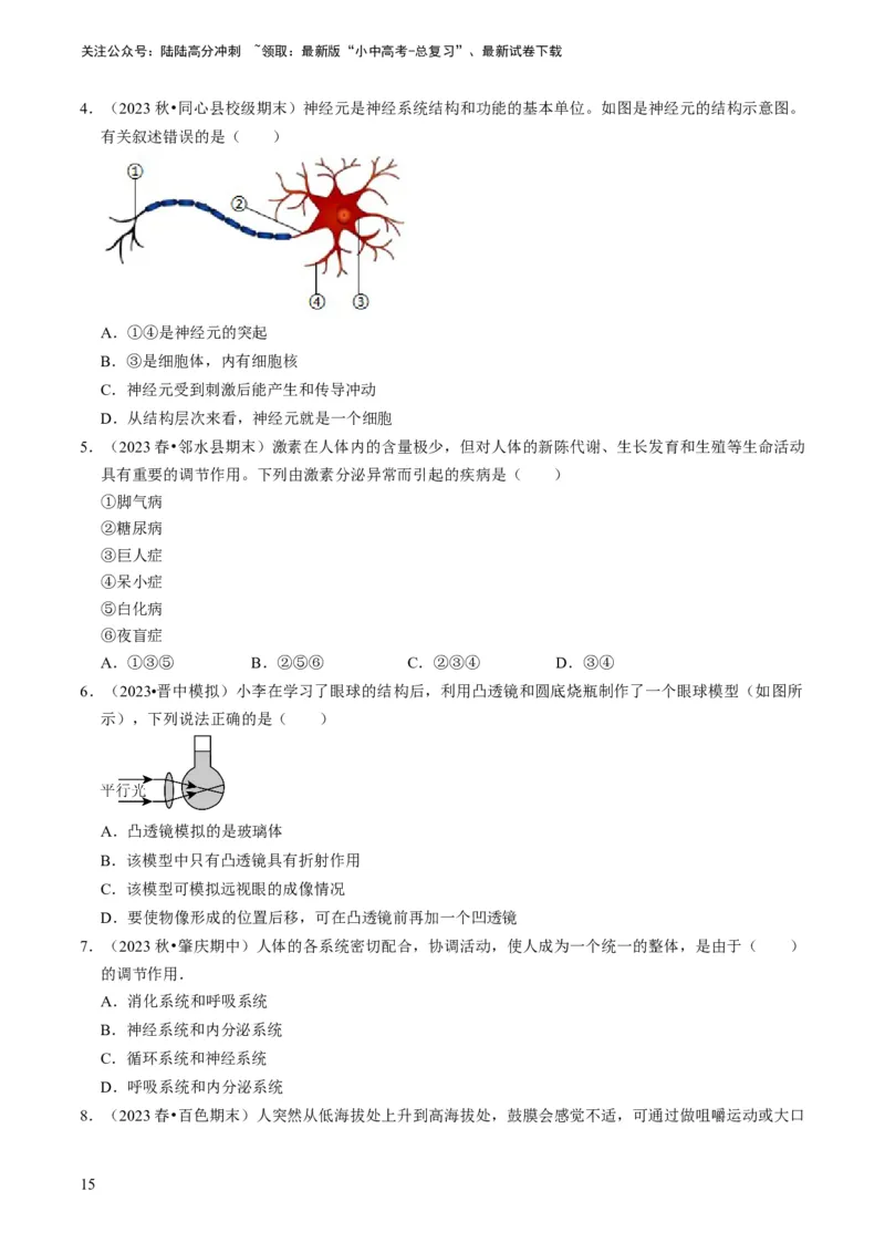 专题11人体生命活动的调节（原卷版）_02中考总复习（2026版更新中）_08-生物-中考总复习_2024年中考复习资料_专项复习_备战2024年中考生物真题题源解密