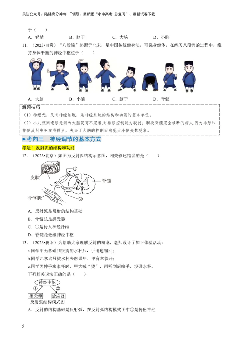 专题11人体生命活动的调节（原卷版）_02中考总复习（2026版更新中）_08-生物-中考总复习_2024年中考复习资料_专项复习_备战2024年中考生物真题题源解密