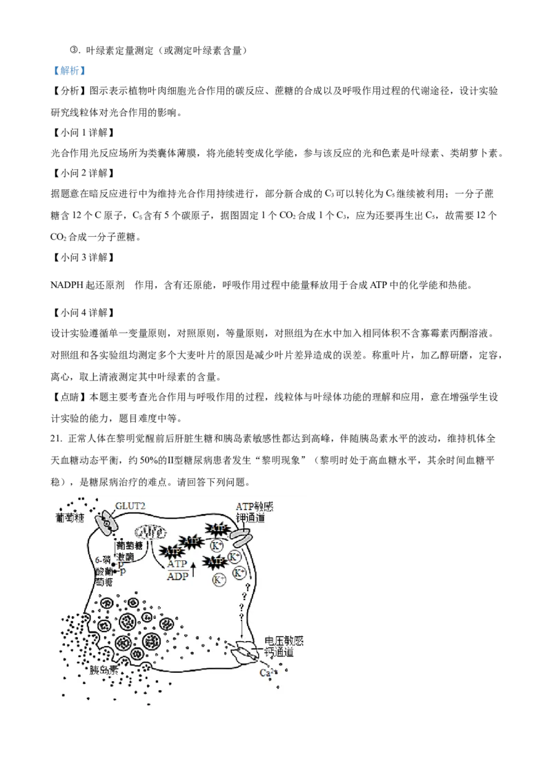 2021年新高考江苏生物高考真题（解析版）_全国卷+地方卷_6.生物_1.生物高考真题试卷_2021年高考-生物_2021年新高考江苏生物