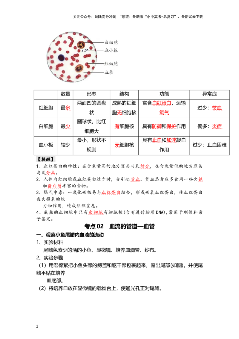 专题12人体内物质的运输（背记帮）-备战2024年中考生物一轮复习考点帮_02中考总复习（2026版更新中）_08-生物-中考总复习_2024年中考复习资料_一轮复习_必背考点
