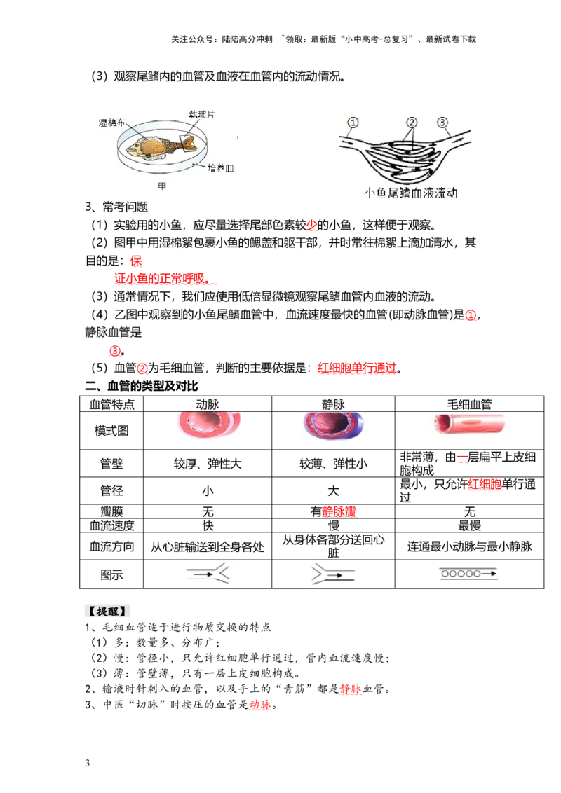 专题12人体内物质的运输（背记帮）-备战2024年中考生物一轮复习考点帮_02中考总复习（2026版更新中）_08-生物-中考总复习_2024年中考复习资料_一轮复习_必背考点