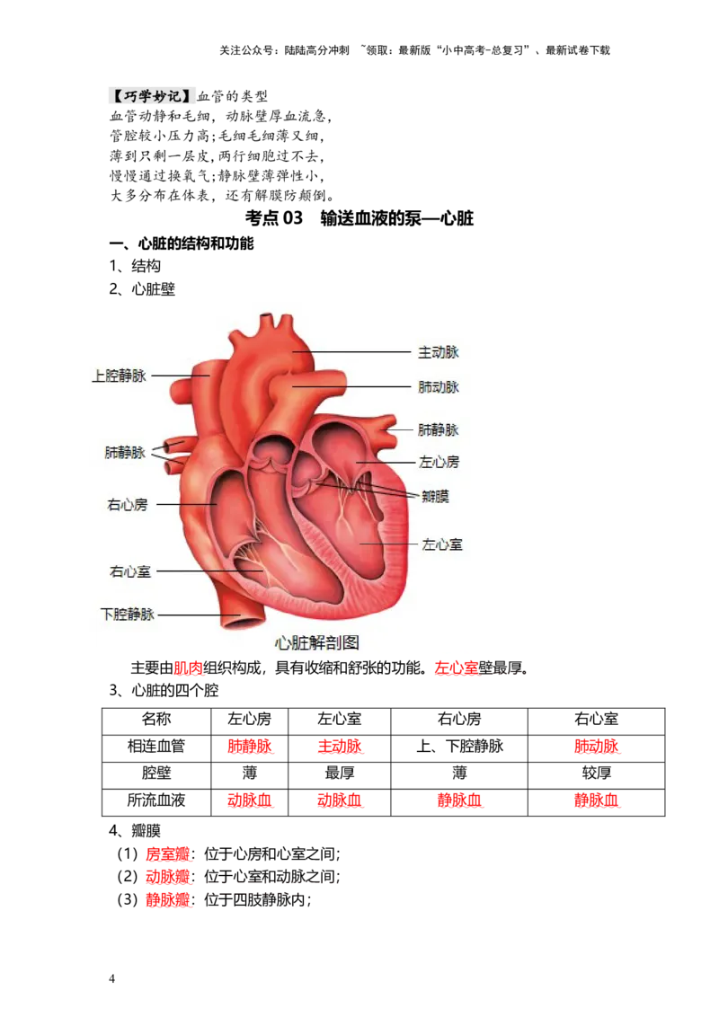 专题12人体内物质的运输（背记帮）-备战2024年中考生物一轮复习考点帮_02中考总复习（2026版更新中）_08-生物-中考总复习_2024年中考复习资料_一轮复习_必背考点