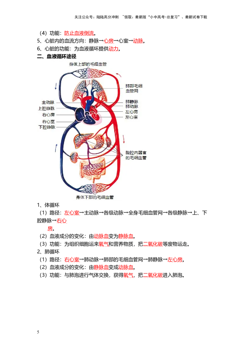 专题12人体内物质的运输（背记帮）-备战2024年中考生物一轮复习考点帮_02中考总复习（2026版更新中）_08-生物-中考总复习_2024年中考复习资料_一轮复习_必背考点
