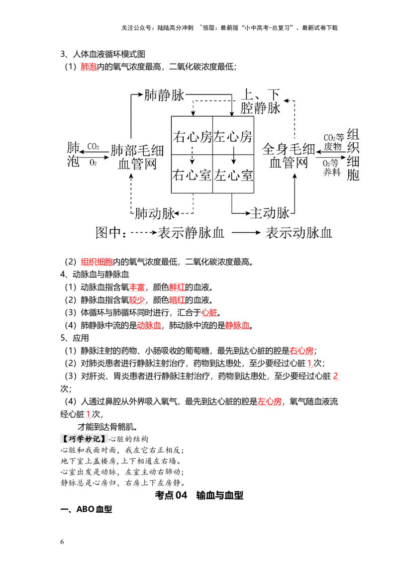 专题12人体内物质的运输（背记帮）-备战2024年中考生物一轮复习考点帮_02中考总复习（2026版更新中）_08-生物-中考总复习_2024年中考复习资料_一轮复习_必背考点