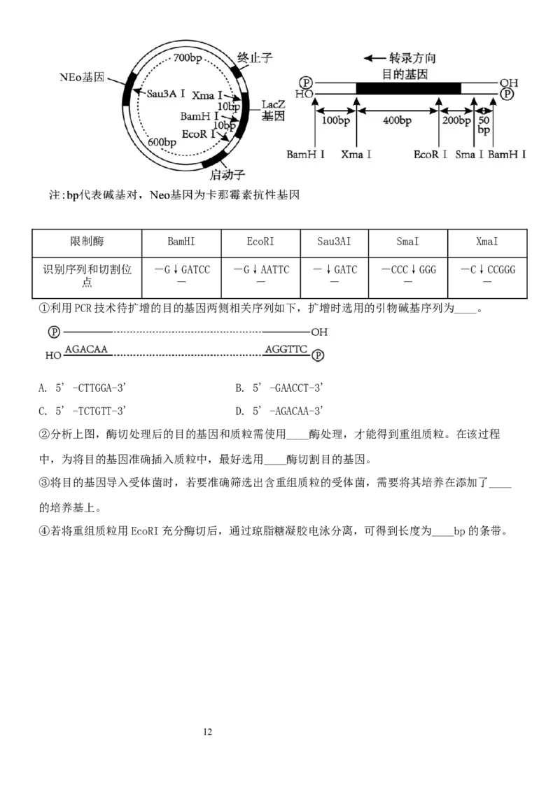 1818-副本_A1502026各地模拟卷（超值！）_11月_241119云南省玉溪市一中2024-2025学年高三上学期期中考试_生物
